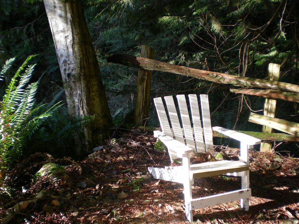 Bed and Breakfast Davis Brook Retreat Sechelt Exterior foto