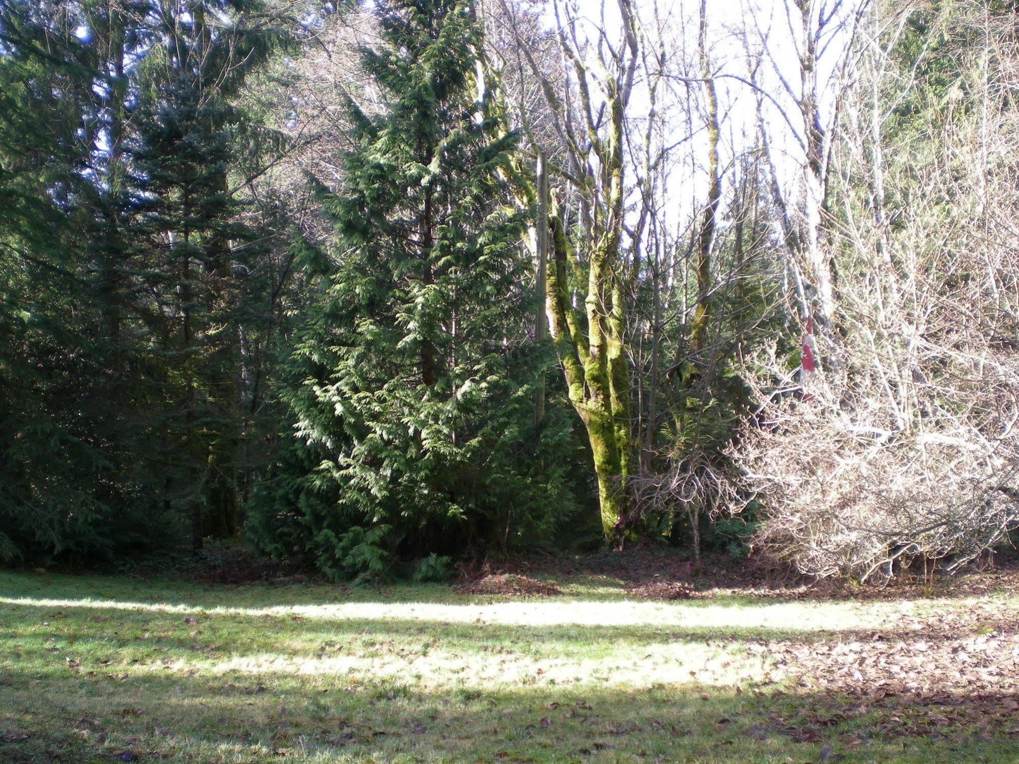 Bed and Breakfast Davis Brook Retreat Sechelt Exterior foto